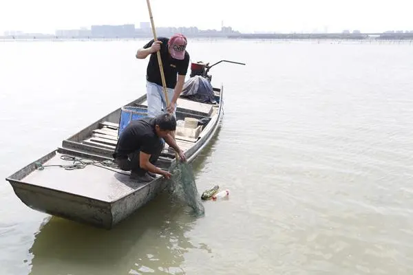 高温热瘦阳澄湖大闸蟹，价格暴涨40%！什么时候开湖？