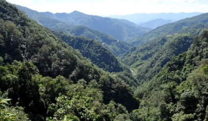 云南四名地质人员为何会遭遇不测？