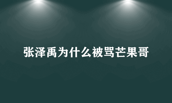 张泽禹为什么被骂芒果哥