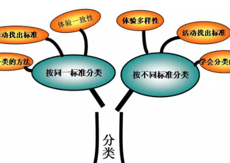 思维导图怎么制作一年级