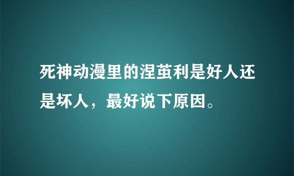 死神动漫里的涅茧利是好人还是坏人，最好说下原因。