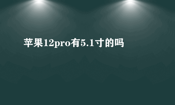 苹果12pro有5.1寸的吗