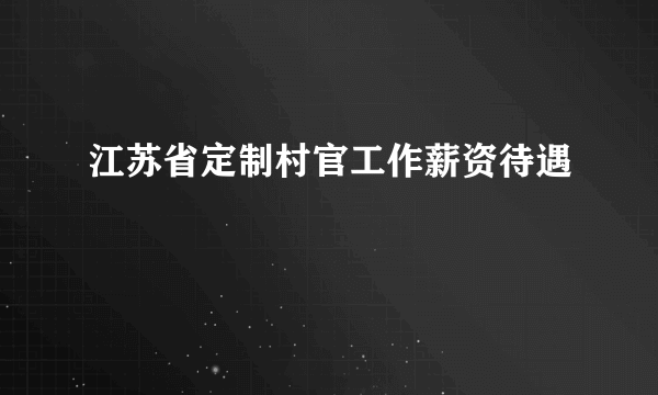 江苏省定制村官工作薪资待遇