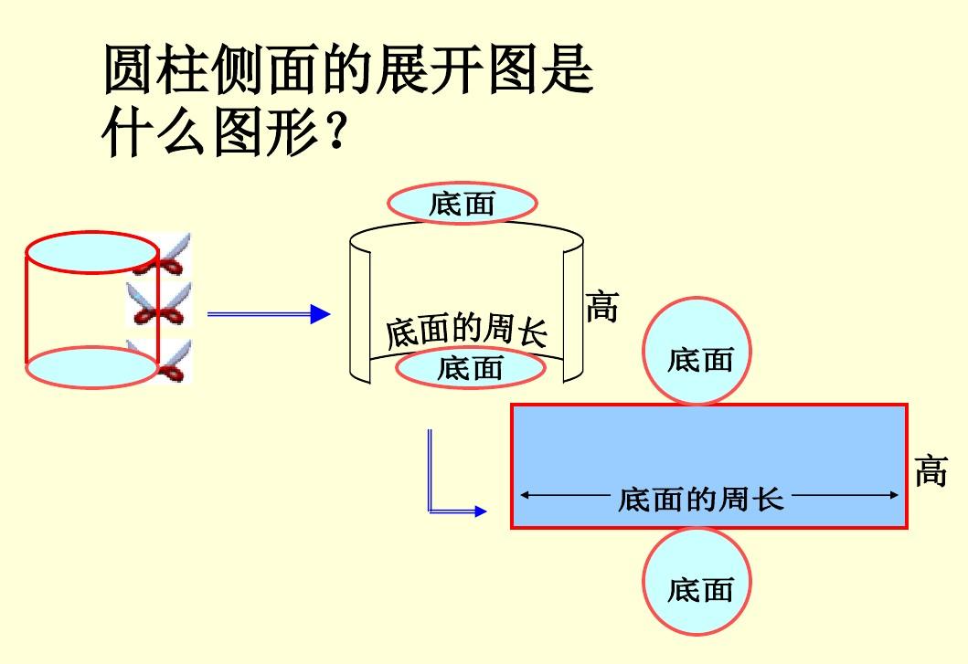 一个圆柱的侧面沿高展开是一个正方形