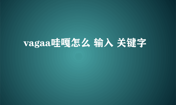 vagaa哇嘎怎么 输入 关键字