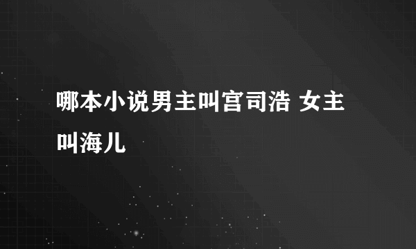 哪本小说男主叫宫司浩 女主叫海儿