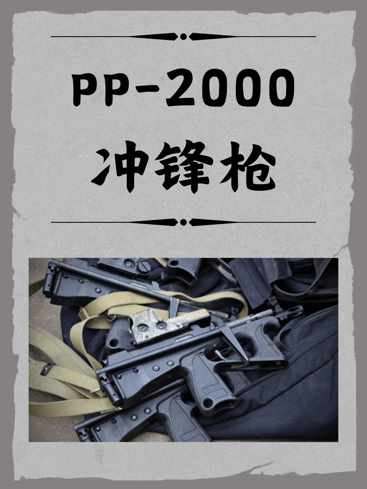 PP-2000冲锋枪