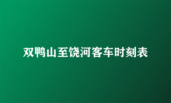 双鸭山至饶河客车时刻表