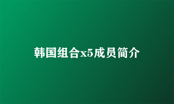 韩国组合x5成员简介