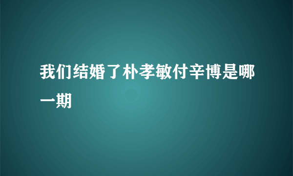 我们结婚了朴孝敏付辛博是哪一期