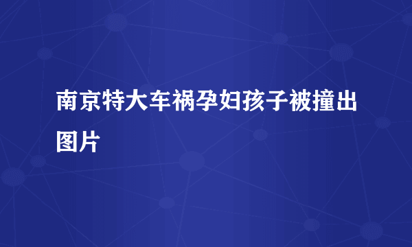 南京特大车祸孕妇孩子被撞出图片