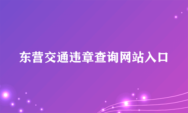 东营交通违章查询网站入口