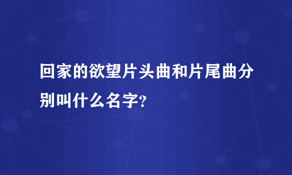 回家的欲望片头曲和片尾曲分别叫什么名字？