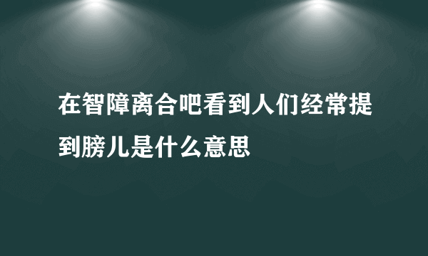 在智障离合吧看到人们经常提到膀儿是什么意思