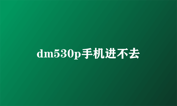 dm530p手机进不去