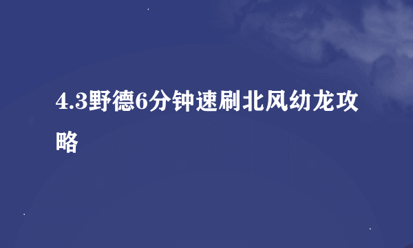 4.3野德6分钟速刷北风幼龙攻略