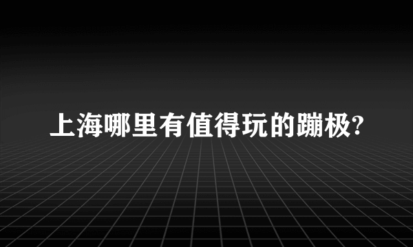 上海哪里有值得玩的蹦极?