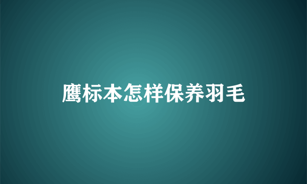 鹰标本怎样保养羽毛