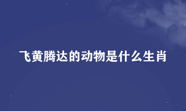 飞黄腾达的动物是什么生肖