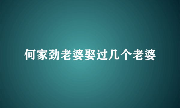 何家劲老婆娶过几个老婆