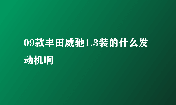 09款丰田威驰1.3装的什么发动机啊