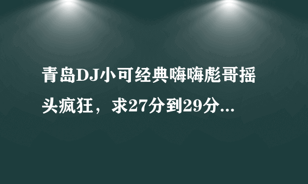 青岛DJ小可经典嗨嗨彪哥摇头疯狂，求27分到29分钟的音乐名，如果全都知道那就更好了