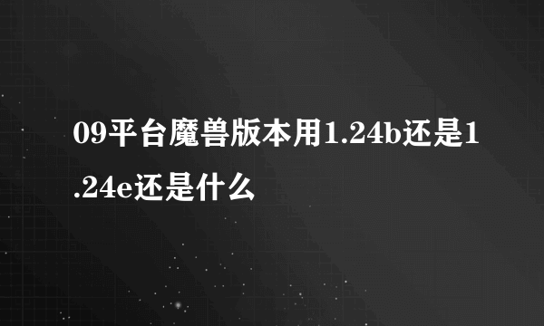 09平台魔兽版本用1.24b还是1.24e还是什么