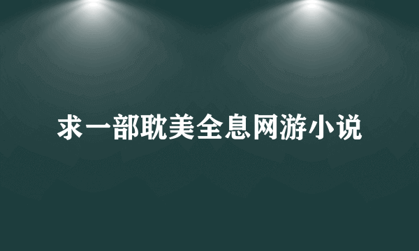 求一部耽美全息网游小说