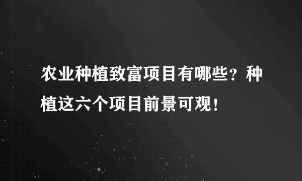 农业种植致富项目有哪些？种植这六个项目前景可观！