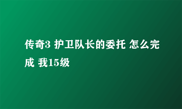 传奇3 护卫队长的委托 怎么完成 我15级