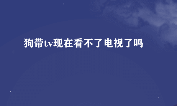 狗带tv现在看不了电视了吗