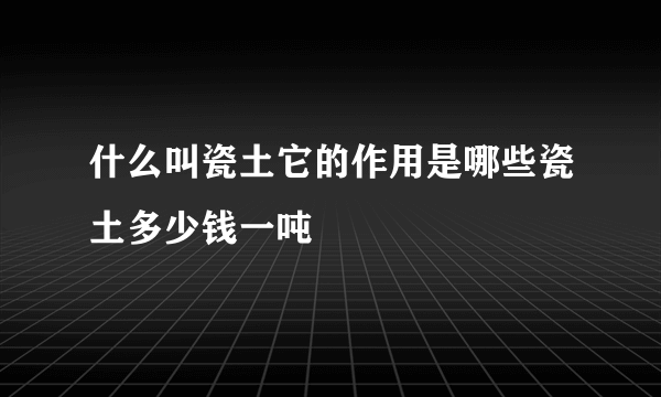 什么叫瓷土它的作用是哪些瓷土多少钱一吨