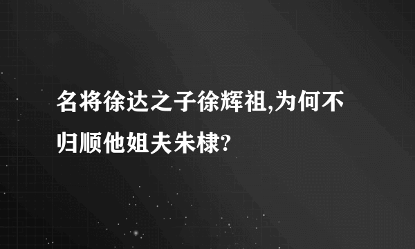 名将徐达之子徐辉祖,为何不归顺他姐夫朱棣?