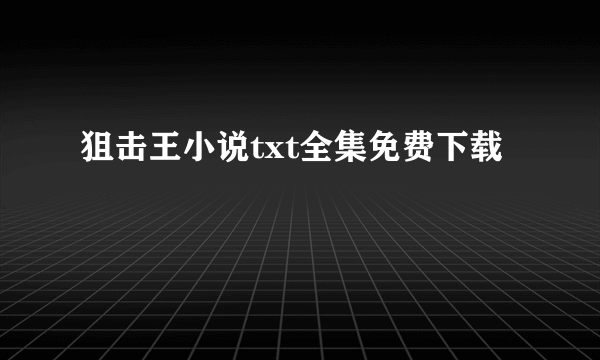 狙击王小说txt全集免费下载