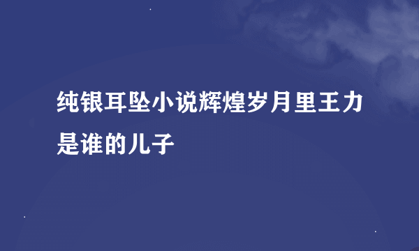 纯银耳坠小说辉煌岁月里王力是谁的儿子