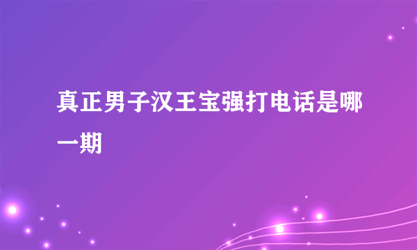 真正男子汉王宝强打电话是哪一期