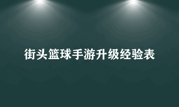 街头篮球手游升级经验表