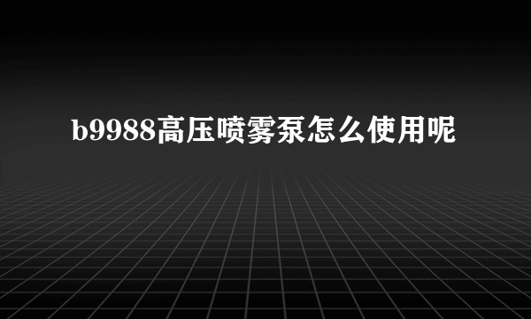 b9988高压喷雾泵怎么使用呢