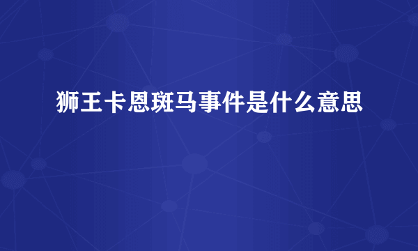 狮王卡恩斑马事件是什么意思