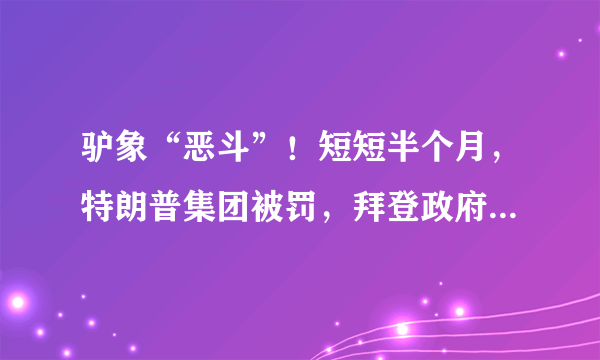 驴象“恶斗”！短短半个月，特朗普集团被罚，拜登政府被调查，接下来还会发生什么？