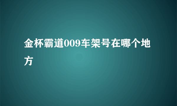 金杯霸道009车架号在哪个地方