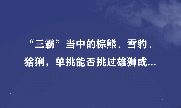 “三霸”当中的棕熊、雪豹、猞猁，单挑能否挑过雄狮或者猛虎？