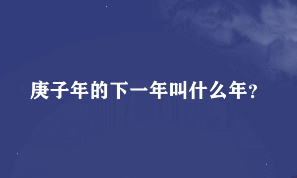 庚子年的下一年叫什么年？