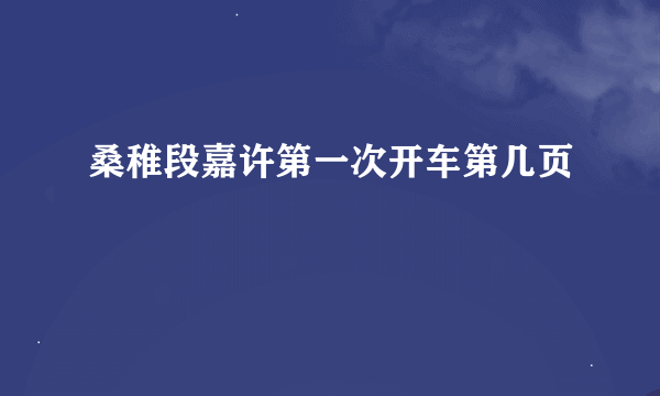 桑稚段嘉许第一次开车第几页