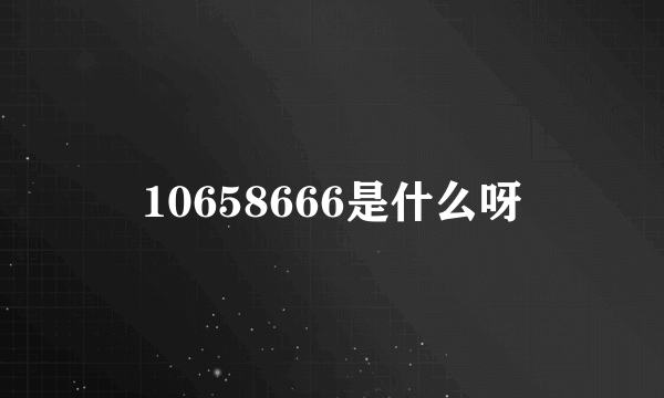 10658666是什么呀