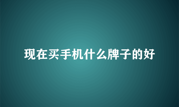 现在买手机什么牌子的好