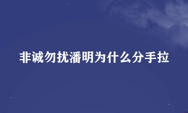 非诚勿扰潘明为什么分手拉