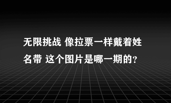 无限挑战 像拉票一样戴着姓名带 这个图片是哪一期的？