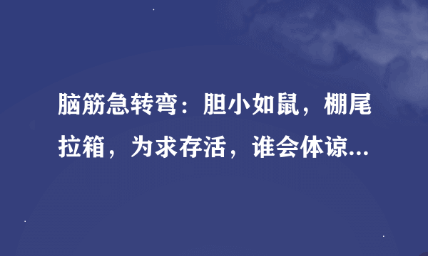 脑筋急转弯：胆小如鼠，棚尾拉箱，为求存活，谁会体谅。猜十二生肖？