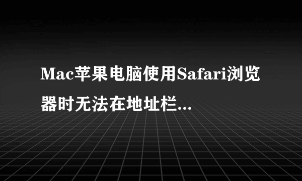 Mac苹果电脑使用Safari浏览器时无法在地址栏搜索如何解决